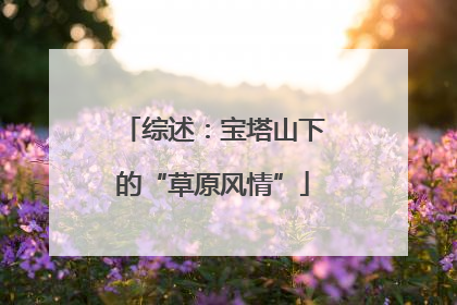 综述：宝塔山下的“草原风情”