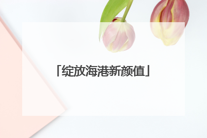 绽放海港新颜值