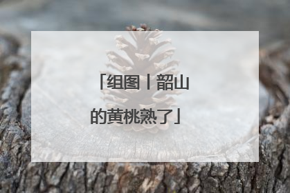 组图丨韶山的黄桃熟了