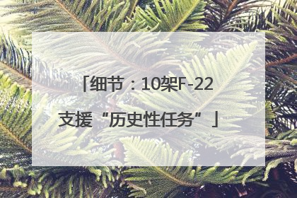 细节：10架F-22支援“历史性任务”