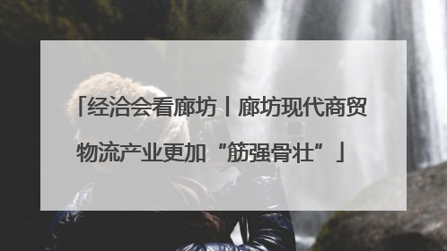 经洽会看廊坊丨廊坊现代商贸物流产业更加“筋强骨壮”