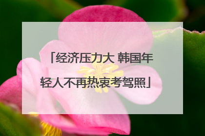 经济压力大 韩国年轻人不再热衷考驾照