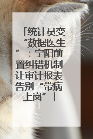 统计员变“数据医生”：宁阳前置纠错机制让审计报表告别“带病上岗”
