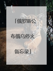 俄罗斯公布俄乌停火备忘录