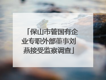 保山市管国有企业专职外部董事刘燕接受监察调查