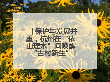 保护与发展并重，杭州在“依山理水”间唤醒“古村新生”