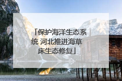 保护海洋生态系统 河北推进海草床生态修复