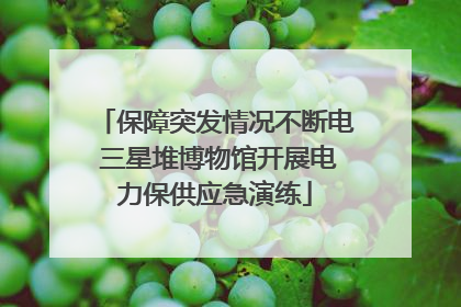 保障突发情况不断电 三星堆博物馆开展电力保供应急演练