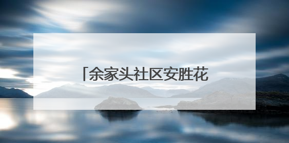 余家头社区安胜花园片区党支部开展廉政主题党日活动