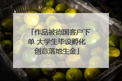 作品被德国客户下单 大学生毕设孵化创意落地生金