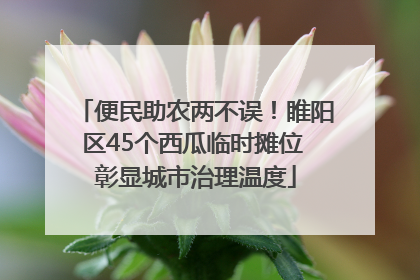 便民助农两不误！睢阳区45个西瓜临时摊位 彰显城市治理温度