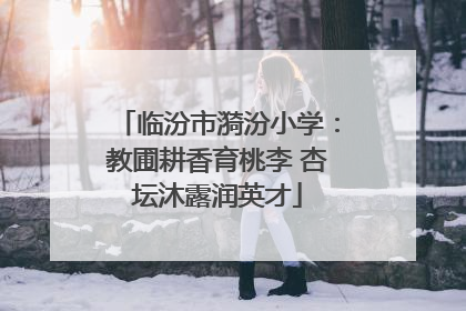 临汾市漪汾小学：教圃耕香育桃李 杏坛沐露润英才