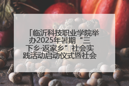 临沂科技职业学院举办2025年暑期“三下乡·返家乡”社会实践活动启动仪式暨社会实践活动供需交流会