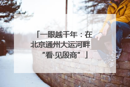 一眼越千年：在北京通州大运河畔“看·见殷商”
