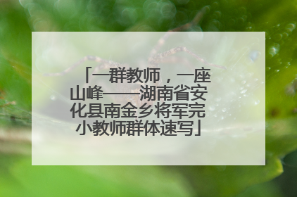 一群教师，一座山峰——湖南省安化县南金乡将军完小教师群体速写