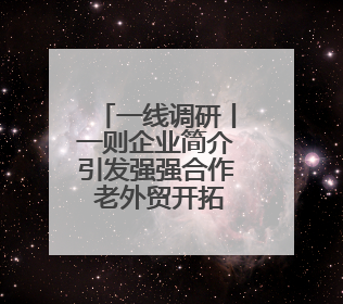 一线调研丨一则企业简介引发强强合作 老外贸开拓出新市场