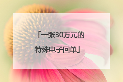 一张30万元的特殊电子回单