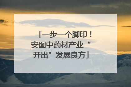 一步一个脚印！安图中药材产业“开出”发展良方