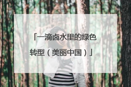一滴卤水里的绿色转型（美丽中国）