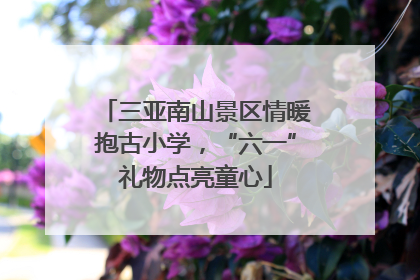 三亚南山景区情暖抱古小学，“六一”礼物点亮童心