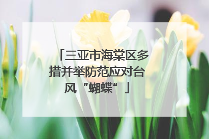 三亚市海棠区多措并举防范应对台风“蝴蝶”