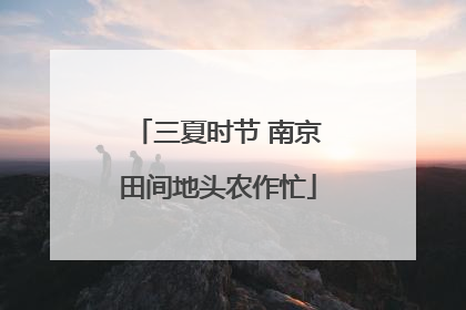 三夏时节 南京田间地头农作忙
