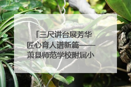 三尺讲台展芳华 匠心育人谱新篇——萧县师范学校附属小学第十三届班主任基本功大赛圆满举办