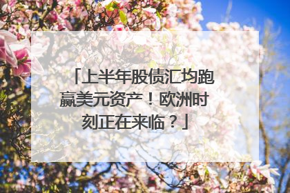 上半年股债汇均跑赢美元资产！欧洲时刻正在来临？