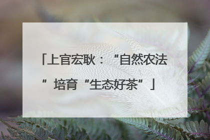 上官宏耿：“自然农法”培育“生态好茶”