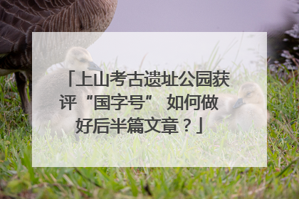 上山考古遗址公园获评“国字号” 如何做好后半篇文章？