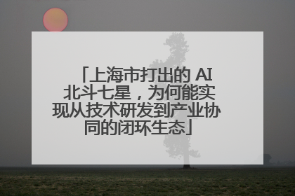 上海市打出的 AI 北斗七星，为何能实现从技术研发到产业协同的闭环生态