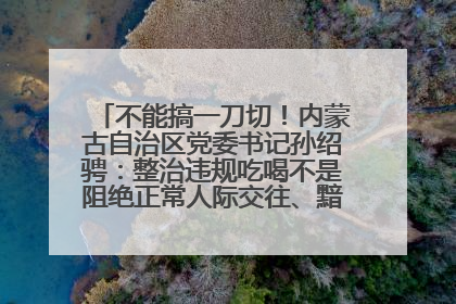 不能搞一刀切！内蒙古自治区党委书记孙绍骋：整治违规吃喝不是阻绝正常人际交往、黯淡人间烟火