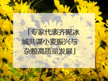 专家代表齐聚冰城共谋小麦振兴与杂粮高质量发展