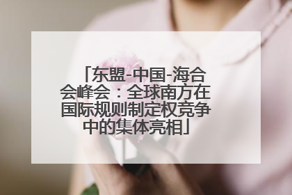 东盟-中国-海合会峰会：全球南方在国际规则制定权竞争中的集体亮相