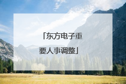 东方电子重要人事调整