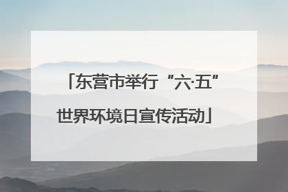 东营市举行“六·五”世界环境日宣传活动