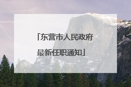 东营市人民政府最新任职通知