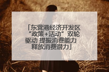 东营港经济开发区“政策+活动”双轮驱动 提振消费能力 释放消费潜力