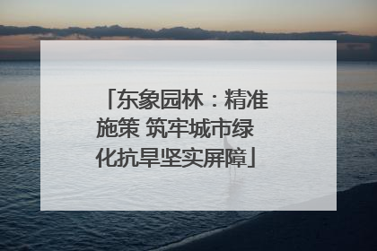 东象园林：精准施策 筑牢城市绿化抗旱坚实屏障
