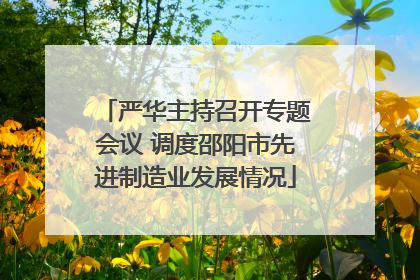 严华主持召开专题会议 调度邵阳市先进制造业发展情况