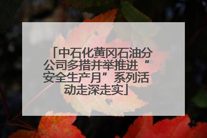 中石化黄冈石油分公司多措并举推进“安全生产月”系列活动走深走实