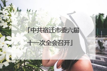 中共宿迁市委六届十一次全会召开
