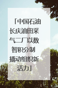 中国石油长庆油田采气二厂以数智积分制 撬动组织新活力