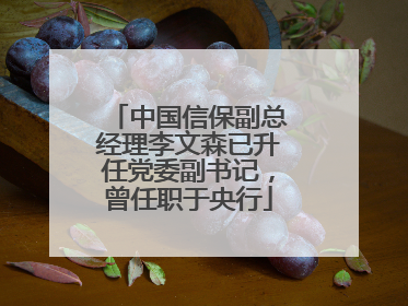 中国信保副总经理李文森已升任党委副书记，曾任职于央行