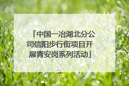 中国一冶湖北分公司信阳步行街项目开展青安岗系列活动