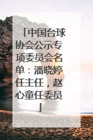 中国台球协会公示专项委员会名单：潘晓婷任主任，赵心童任委员