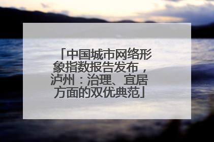 中国城市网络形象指数报告发布，泸州：治理、宜居方面的双优典范