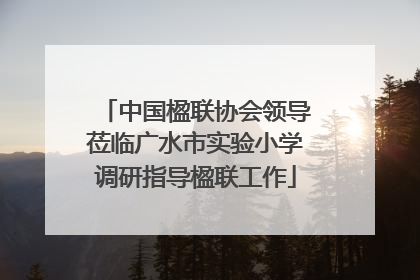 中国楹联协会领导莅临广水市实验小学调研指导楹联工作