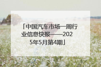 中国汽车市场一周行业信息快报——2025年5月第4期