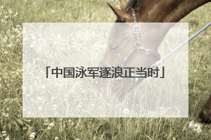 中国泳军逐浪正当时